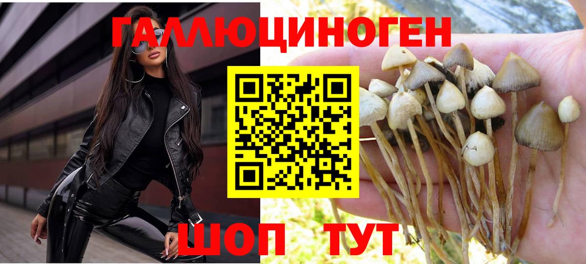 Сатка  Галлюциногенные грибы мицелий  Галлюциногенные грибы Psilocybine cubensis  Вход с VPN 